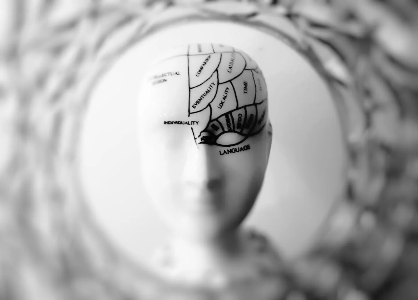 Tête de mannequin avec des aires cérébrales dessinées sur le quart supérieur gauche - coaching de vie - hypnose