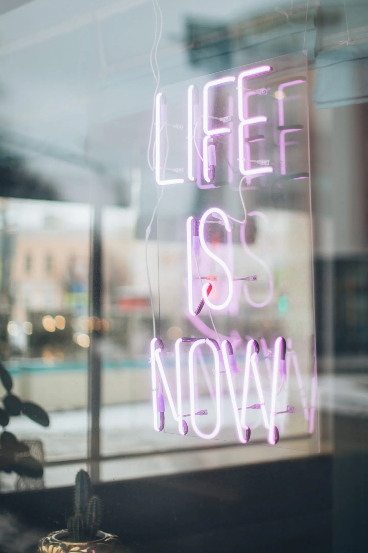 Des néons dans une vitrine affichent "life is now". Vivre c'est maintenant. Faire le deuil. Relation d'aide. Hypnose