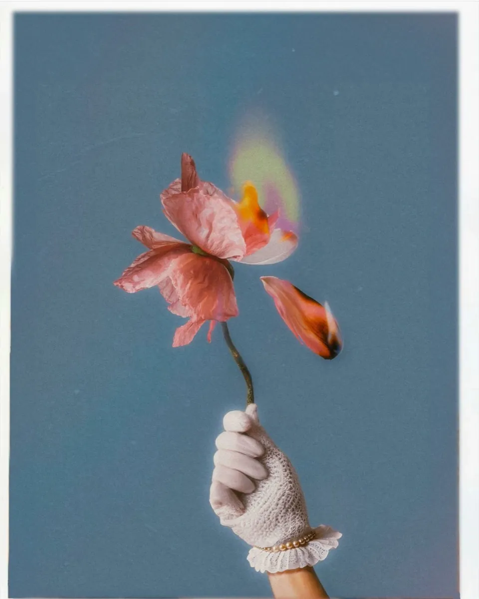 Une main gantée de blanc tient une fleur enflammée dont un pétale tombe. Apaiser la douleur. Hypnose. Hypnose ericksonienne.
