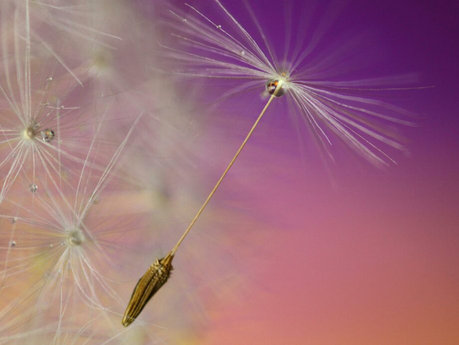 L’hypnorelaxation : une combinaison bien-être