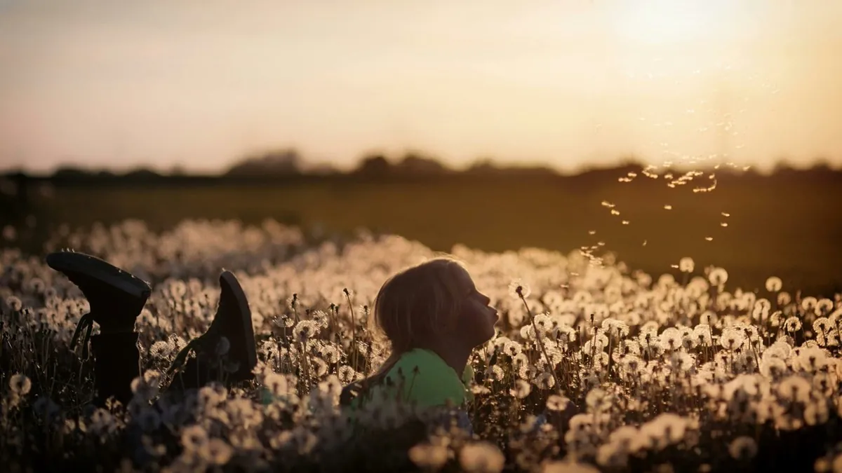 Une petite fille allongée dans un champ souffle sur un pissenlit au soleil couchant - Hypnorelaxation une combinaison bien-être - Hypnose - Relaxation - Libérer le corps et l'esprit