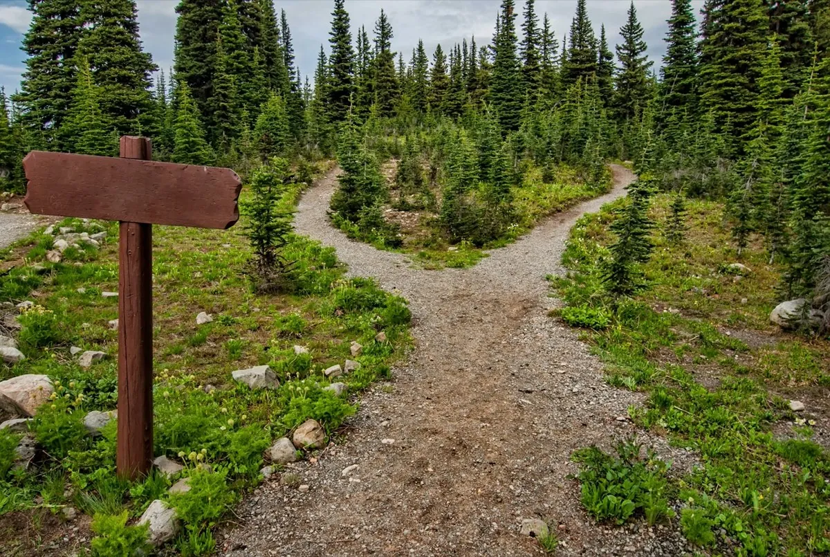 Un chemin dans la nature se sépare en deux - Thérapie MOSAIC pour traiter Traumatisme - TOC - Dépression - Trouble anxieux - Phobie - Addiction